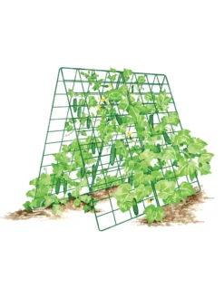Deluxe Cucumber Trellis -Deals The Garden & Yard Store 8587083 001 GRN tif