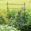 Jardin Ladder Trellis