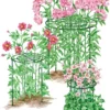 Grow Through Supports, Set Of 3