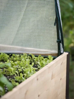 Protection Frame & Covers, 2' X 8' -Deals The Garden & Yard Store 8587631 265 tif 2