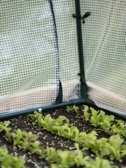 Protection Frame & Covers, 2' X 8' -Deals The Garden & Yard Store 8587631 271 tif 1