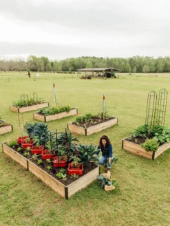 Deep Root Raised Beds, 14" Deep 4' Wide -Deals The Garden & Yard Store 8587813 505 tif