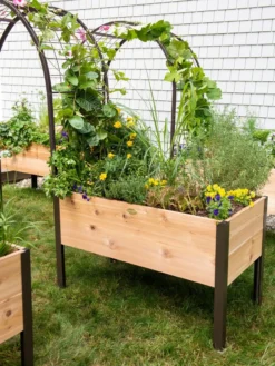 2’ X 4’ Arch Trellis For Planter Boxes -Deals The Garden & Yard Store 8587823 0490