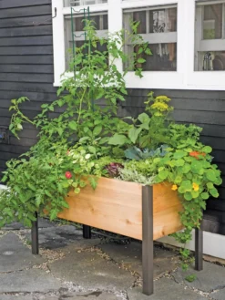 Elevated Planter Box, 2' X 4'