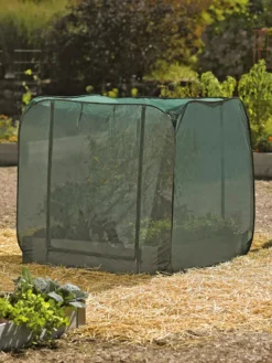 Pest Control Pop-Ups -Deals The Garden & Yard Store 8587859 026 tif