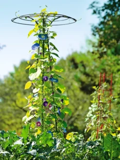 Essex Tuteur, 78" -Deals The Garden & Yard Store 8587861 5028 tif