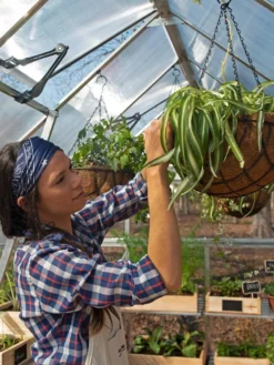 Canopia® By Palram Balance Greenhouse, 8' X 12' 29 Canopia® By Palram Balance Greenhouse, 8' X 12' -Deals The Garden & Yard Store 8588023 07V jpg