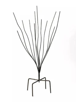 Bottle Bush -Deals The Garden & Yard Store 8588047 0697