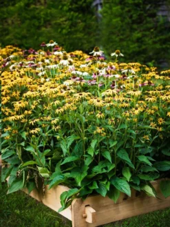 Farmstead Cedar Raised Garden Beds, 2' -Deals The Garden & Yard Store 8588144 014V tif