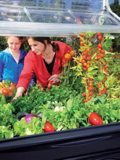 Canopia® By Palram Plant Inn™ Raised Bed Greenhouse, 4' X 4' -Deals The Garden & Yard Store 8588308 03V tif