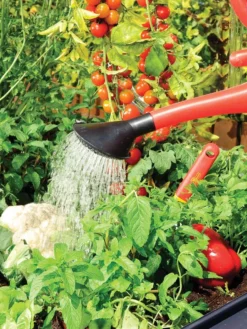 Canopia® By Palram Plant Inn™ Raised Bed Greenhouse, 4' X 4' -Deals The Garden & Yard Store 8588308 06V tif