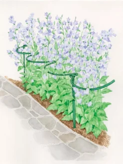 Tidy Path Supports -Deals The Garden & Yard Store 8588403 003 1