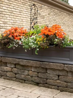 Fairfield Self-Watering Window Box, 5’ 13 Fairfield Self-Watering Window Box, 5’ -Deals The Garden & Yard Store 8588938 105V tif