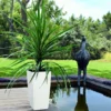 Lechuza® Cubico Color Tall Self-Watering Planters