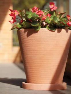 Universal Round Planter Saucers -Deals The Garden & Yard Store 8589526 001V tif