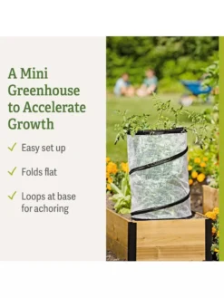 Pop-Up Tomato Accelerator -Deals The Garden & Yard Store 8589749 feature 2