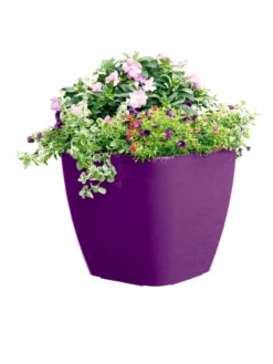 Viva Square Self-Watering Rolling Planter, 17.5" Diameter 7 Viva Square Self-Watering Rolling Planter, 17.5" Diameter -Deals The Garden & Yard Store 8589778PR 6126 tif