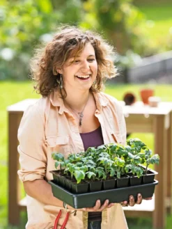 Growease Seed Starter Kit -Deals The Garden & Yard Store 8589987 0446 tif