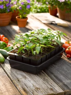 Growease Seed Starter Kit -Deals The Garden & Yard Store 8589987 1148 tif