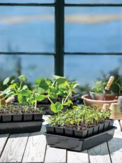 Growease Seed Starter Kit -Deals The Garden & Yard Store 8589987 7871 tif