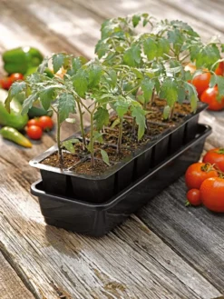 Growease Seed Starter Kit -Deals The Garden & Yard Store 8589988 1056 tif