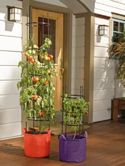 Gardener's Best® Tomato Grow Bag Set -Deals The Garden & Yard Store 8590013 170 tif