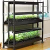 2-Tier SunLite® Garden