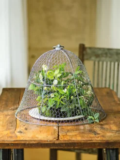 Chicken Wire Cloche 17 Chicken Wire Cloche -Deals The Garden & Yard Store 8590210 1 tif