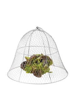 Chicken Wire Cloche 18 Chicken Wire Cloche -Deals The Garden & Yard Store 8590210 675 tif