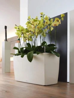 Lechuza® Cararo Rectangular Indoor Planter With Casters