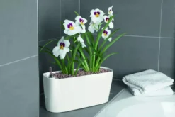 Lechuza® Delta Self-Watering Windowsill Planters -Deals The Garden & Yard Store 8590298 01V tif