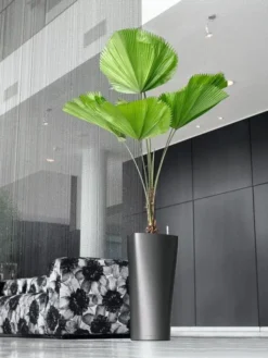 Lechuza® Delta Premium Self-Watering Planters -Deals The Garden & Yard Store 8590299 02V tif