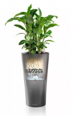 Lechuza® Delta Premium Self-Watering Planters -Deals The Garden & Yard Store 8590299 05V tif