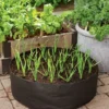 Garlic Grow Bag Kit