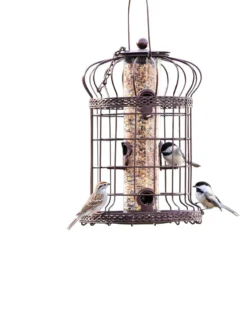 Edwardian Bird Feeder -Deals The Garden & Yard Store 8590897 200151 tif
