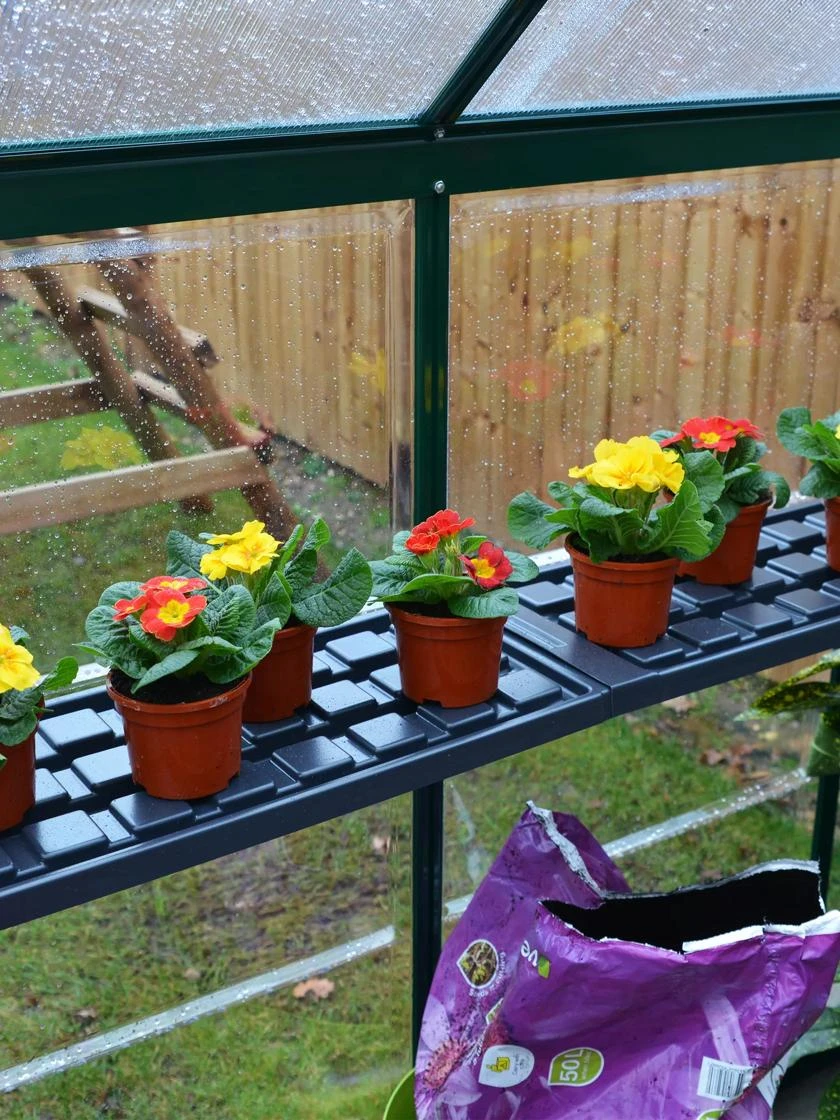 Canopia® By Palram Shelf Kit For Greenhouses, Set Of 2 Shelves 6 Canopia® By Palram Shelf Kit For Greenhouses, Set Of 2 Shelves - Image 6