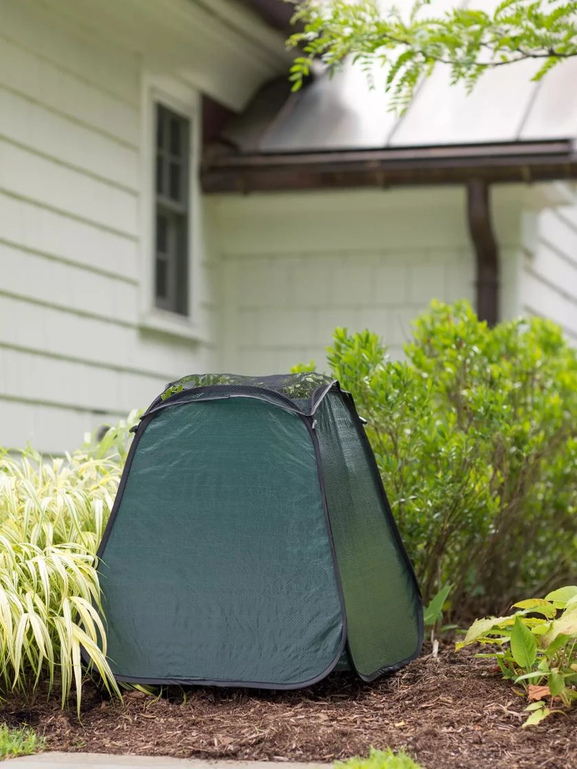 Pop-Up Plant Protector 2 Pop-Up Plant Protector - Image 2