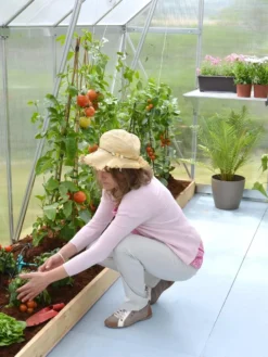 Canopia® By Palram Essence™ Greenhouse, 8' X 12' -Deals The Garden & Yard Store 8591356 04V tif