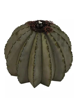 Desert Steel Golden Barrel Cactus Torches