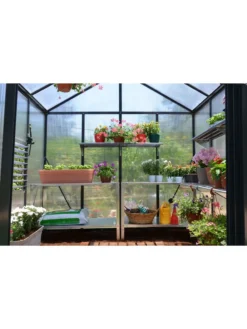 Canopia® By Palram Glory™ Greenhouse, 8' -Deals The Garden & Yard Store 8591547 02v