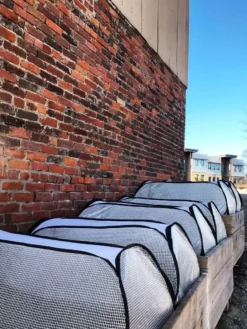 Row Shelter Accelerator -Deals The Garden & Yard Store 8591990 01IN tif