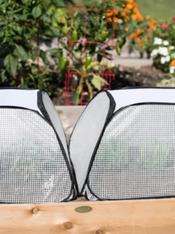 Row Shelter Accelerator -Deals The Garden & Yard Store 8591990 2199 tif