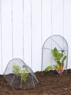 3-in-1 Chicken Wire Cloche -Deals The Garden & Yard Store 8592117 0188 tif
