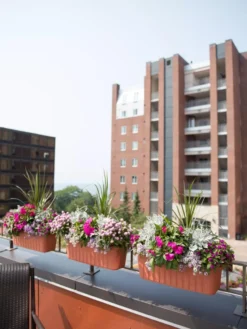 Adjustable Self-Watering Railing Planter, 24" -Deals The Garden & Yard Store 8592173TC 2383 tif