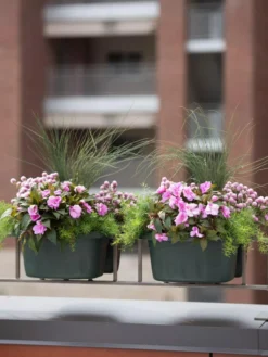 Self-Watering Saddle Railing Planter, 16" 7 Self-Watering Saddle Railing Planter, 16" -Deals The Garden & Yard Store 8592175GR 2430 tif