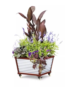 Galvanized Self-Watering Planters -Deals The Garden & Yard Store 8592176 5067 tif