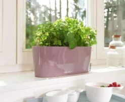 Lechuza® Delta Self-Watering Windowsill Planters -Deals The Garden & Yard Store 8592361 01V tif
