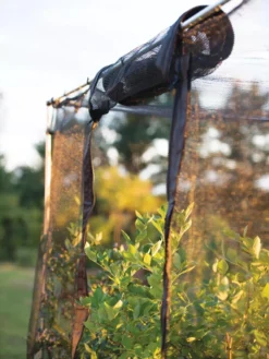 Storm Proof Crop Cage, Large 12 Storm Proof Crop Cage, Large -Deals The Garden & Yard Store 8592463 115 tif