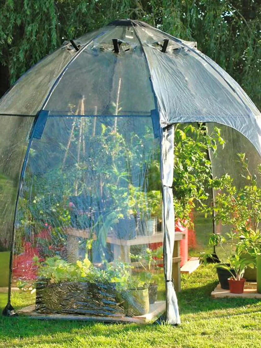 Sunbubble Greenhouse 3 Sunbubble Greenhouse - Image 3