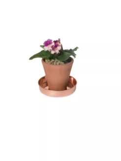 Extra Small Round Copper Plant Tray, 8" -Deals The Garden & Yard Store 8593528 2922 tif